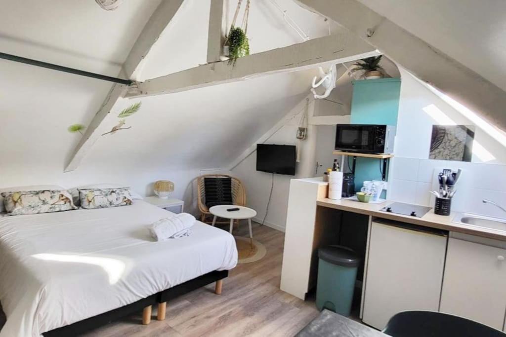La Cabane - Petit Studio Mansarde - Plage 50M - Rue Gratuite Saint-Malo Exteriér fotografie